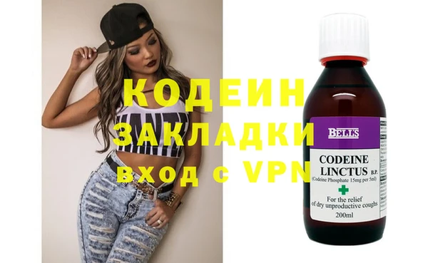 хмурый Бородино