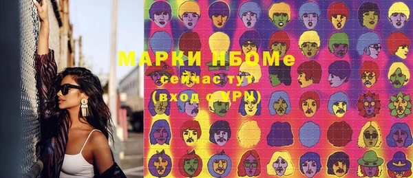 хмурый Бородино
