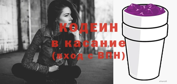 хмурый Бородино
