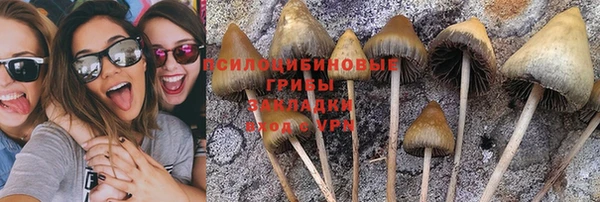хмурый Бородино
