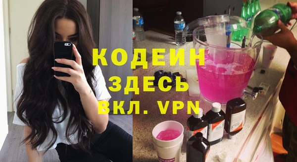 хмурый Бородино