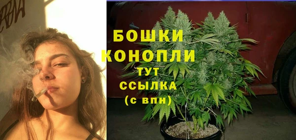 хмурый Бородино