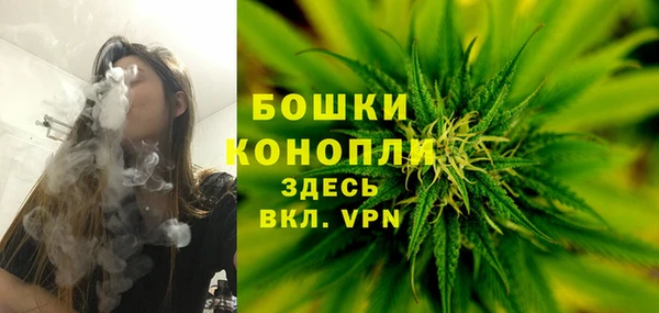 хмурый Бородино