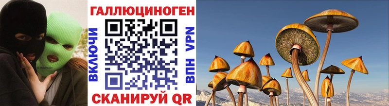 закладка  mega ссылки  Галлюциногенные грибы Cubensis  Ессентукская 